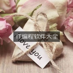 IT编程必备软件全集