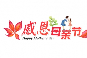感恩母亲节PNG