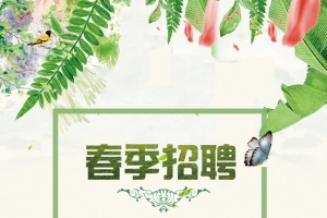 招聘简约清新海报素材PSD