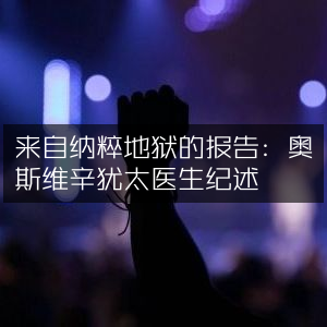 纳粹地狱亲历记，奥斯维辛犹太医生的历史纪述