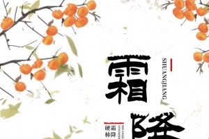 霜降手绘柿子树装饰元素