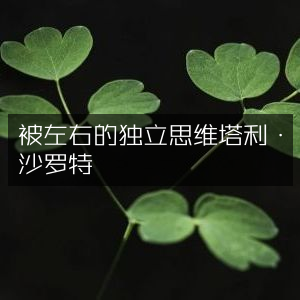 塔利·沙罗特著，培养独立思维，提升个人能力必读之书