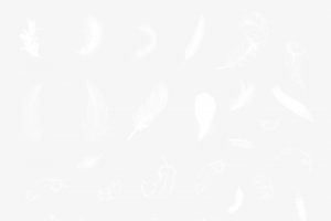 羽毛素材免抠