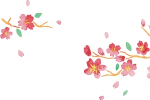 彩绘樱桃树枝