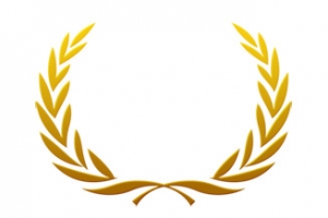 橄榄枝