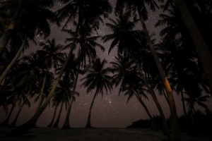 晚上 椰树 星空 5K风景壁纸