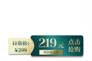 国潮风点击抢购标签