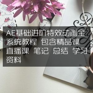 AE基础至进阶特效动画全教程，涵盖精品课、直播、笔记、总结等资料