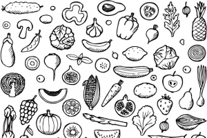 手绘食物线描稿