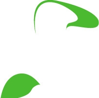 绿色创意手绘花卉