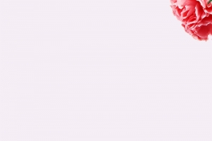 感恩母亲节节日展架