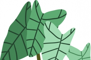 绿植盆栽矢量素材图