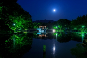 日本公园,桥,树,月亮,灯,池塘,亭子,4K风景壁纸