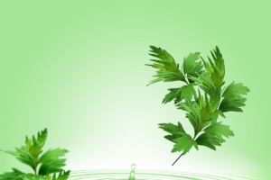 淡绿色水纹艾草背景