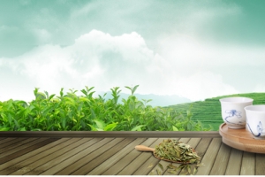 茶  海报banner背景