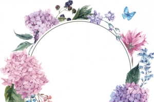 美丽的香花相框