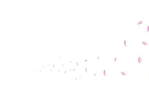 漂浮的桃花瓣