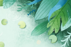 小清新小暑二十四节气背景素材