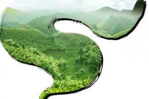 免抠黄色茶壶茶田装饰