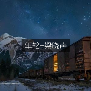梁晓声作品《年轮》- 文学艺术书籍精选