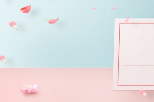 女装蓝色粉色清新花朵简约淘宝天猫banner