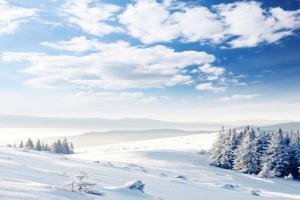冬季雪地唯美风景海报背景图
