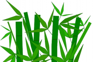 卡通竹子植物矢量图2
