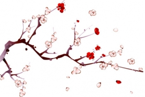 中国风红色古典梅花