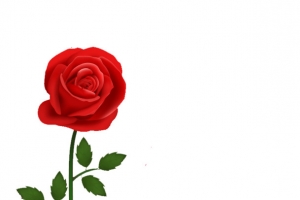 美丽红色玫瑰花枝矢量素材