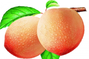 桃子
