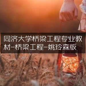 同济大学桥梁工程专业权威教材《桥梁工程》姚玲森版