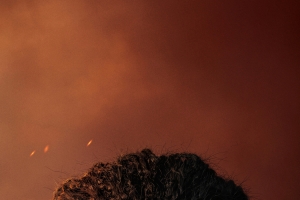 阿凡达3高清4k手机壁纸