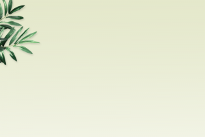 清新简约绿叶背景图