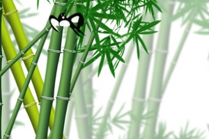 竹子燕子竹林海报banner背景