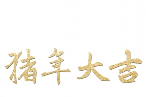 猪年大吉艺术材质