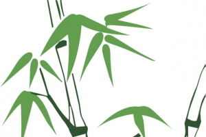 绿色手绘粽叶竹子