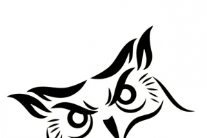 猫头鹰logo标志
