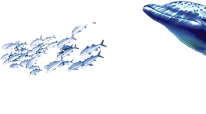 海洋生物