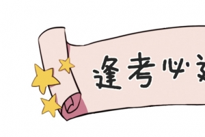 矢量逢考必过