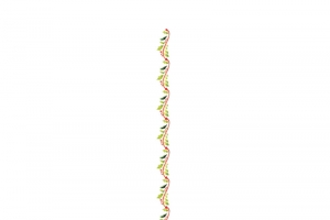 圣诞手绘分割线