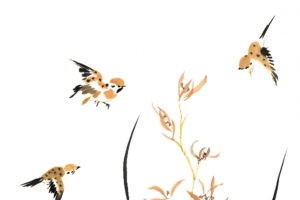 水墨兰花小鸟