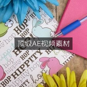 顶级AE视频素材精选