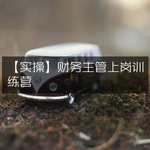 【实战】财务主管晋升训练营