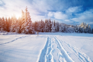 冰天雪地背景素材