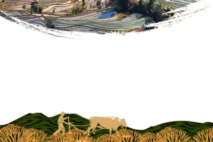 粮油背景