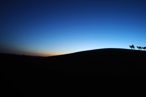 沙漠黎明骆驼车队3440x1440壁纸